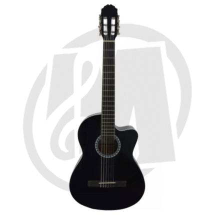 Guitarra Electroacústica GEWA PSS10198
