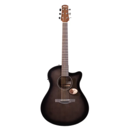 Guitarra Electroacústica Ibanez AAM70CETBN