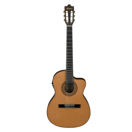 Guitarra Clásica Ibanez GA5TCEAM