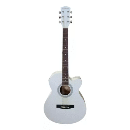 Guitarra Electroacústica Segovia SGF238CEWH