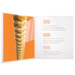 ENCORDADURA D ADDARIO MOD. XSABR1047 - Image 6